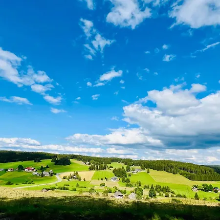 Mitten Im Schwarzwald Mit Infrarot-sauna Und Garagenparkplatz