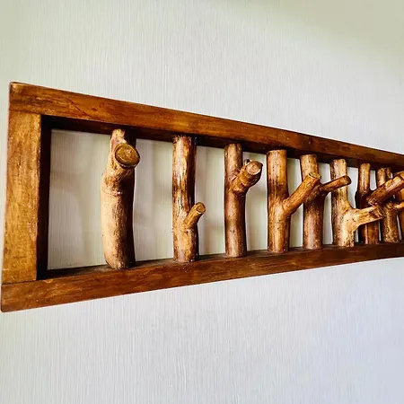 Apartment Mitten Im Schwarzwald Mit Infrarot-sauna Und Garagenparkplatz *