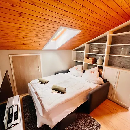 Mitten Im Schwarzwald Mit Infrarot-sauna Und Garagenparkplatz Apartamento Schönwalde