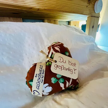 Mitten Im Schwarzwald Mit Infrarot-sauna Und Garagenparkplatz Appartement *