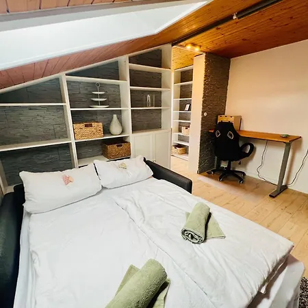 Mitten Im Schwarzwald Mit Infrarot-sauna Und Garagenparkplatz