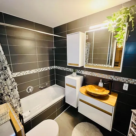Apartment Mitten Im Schwarzwald Mit Infrarot-sauna Und Garagenparkplatz