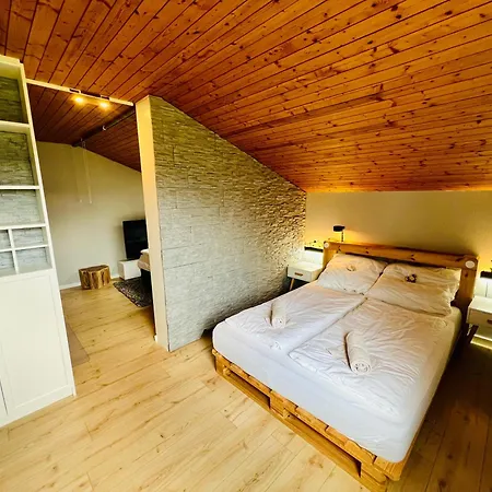 Mitten Im Schwarzwald Mit Infrarot-sauna Und Garagenparkplatz