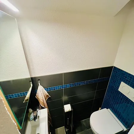 Apartamento Mitten Im Schwarzwald Mit Infrarot-sauna Und Garagenparkplatz Schönwalde