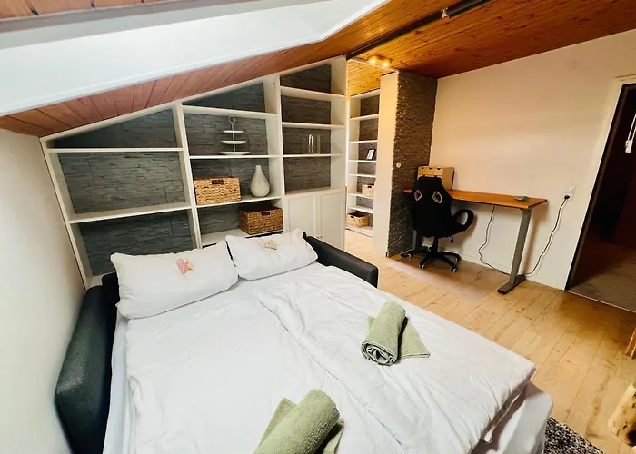 Mitten Im Schwarzwald Mit Infrarot-sauna Und Garagenparkplatz